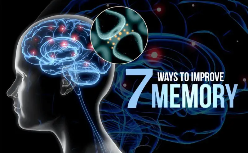 Top 7 Ways to Improve Memory