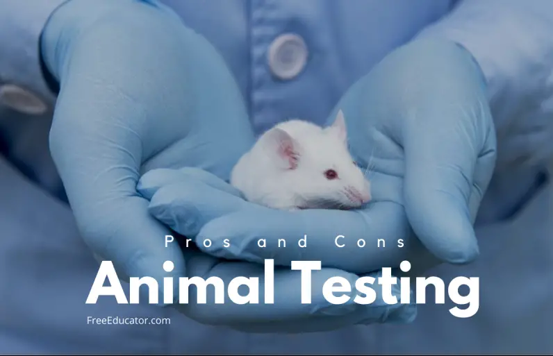 Animal Testing Pros and Cons - Essay Tips