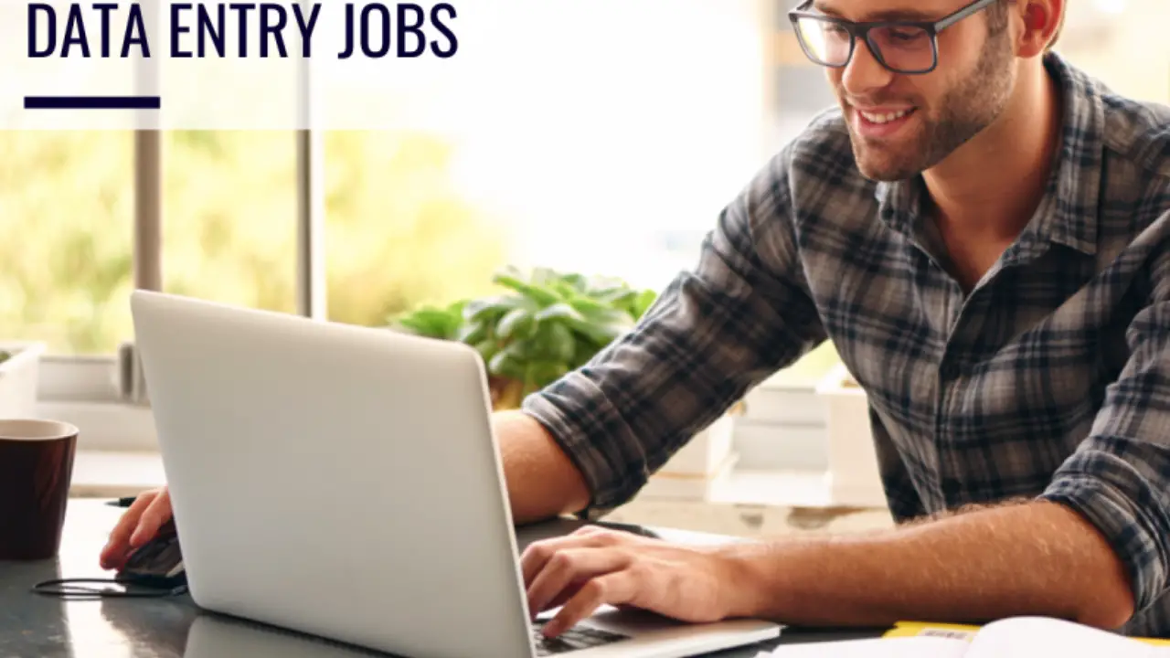 What Is Data Entry Jobs,Serpae Tetra Fry