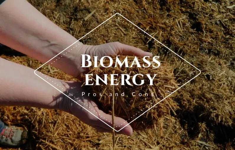 biomass essay