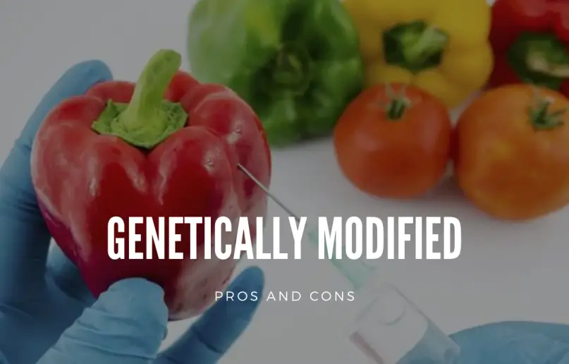 Essay on the pros and cons of gmo