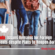 Canada: Issues Remains for Foreign Students despite Plans to Reopen Borders