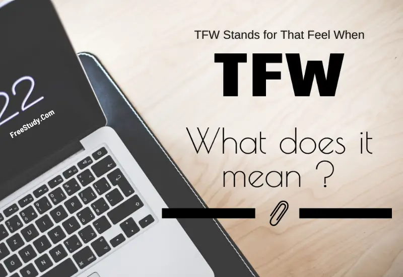 TFW Stands for That Feel When - TFW Meaning - What Does TFW Mean?