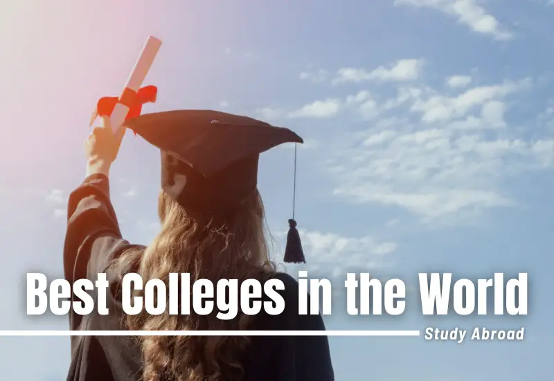 Top Colleges in the World