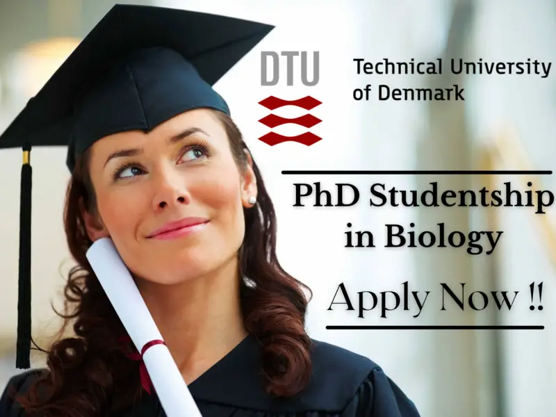 PhD Studentship in Biology at Technical University of Denmark