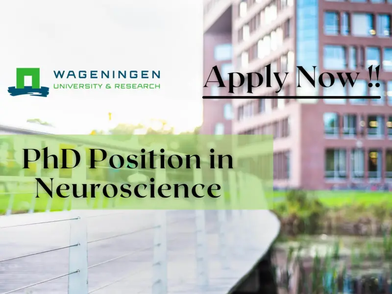PhD Position in Neuroscience at Wageningen University