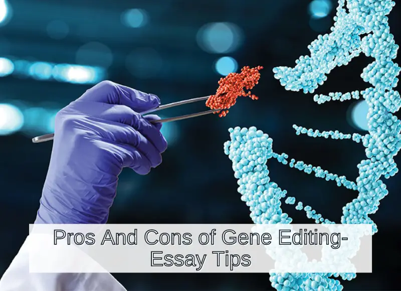 essay on gene library