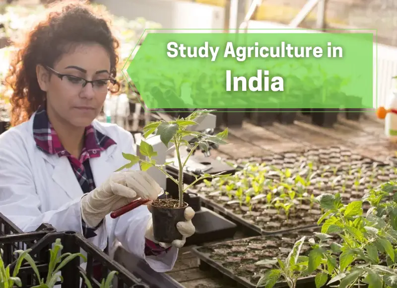 recent research in agriculture in india