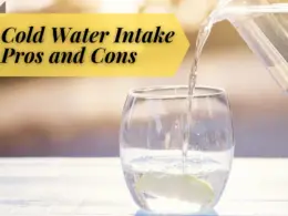 Cold Water Intake Pros and Cons