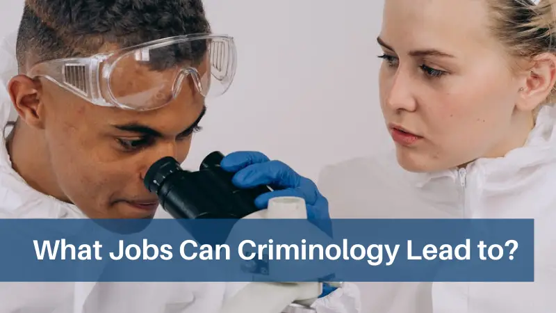 What Jobs Can Criminology Lead to